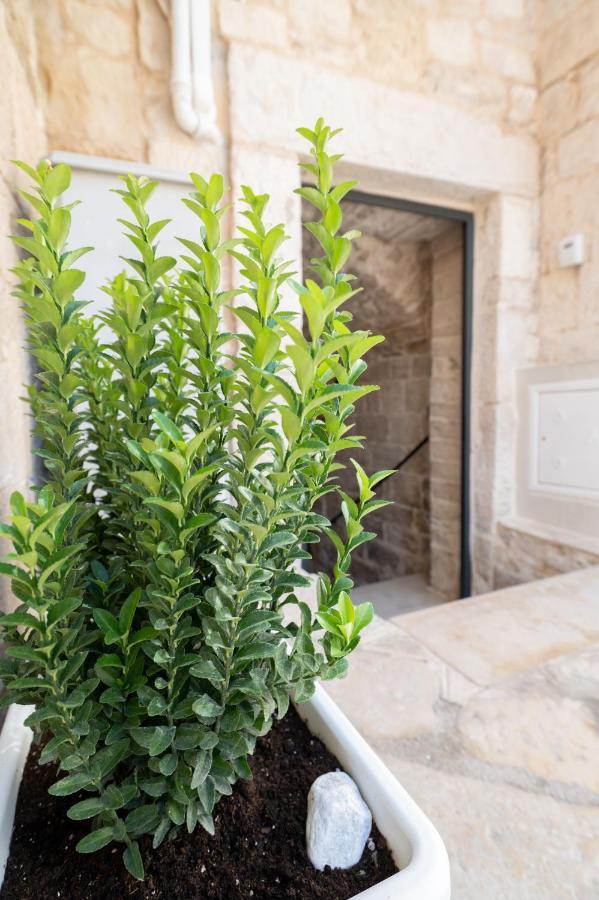 Hotel Piccola Pietra Bianca Giovinazzo Exterior foto